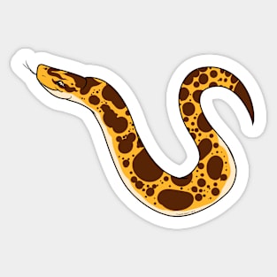 Canary Sand Boa Sticker